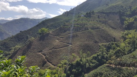 Mosaico Cafetero. Montañas sembradas de Café. 2016. Corporación para el Desarrollo de Caldas.